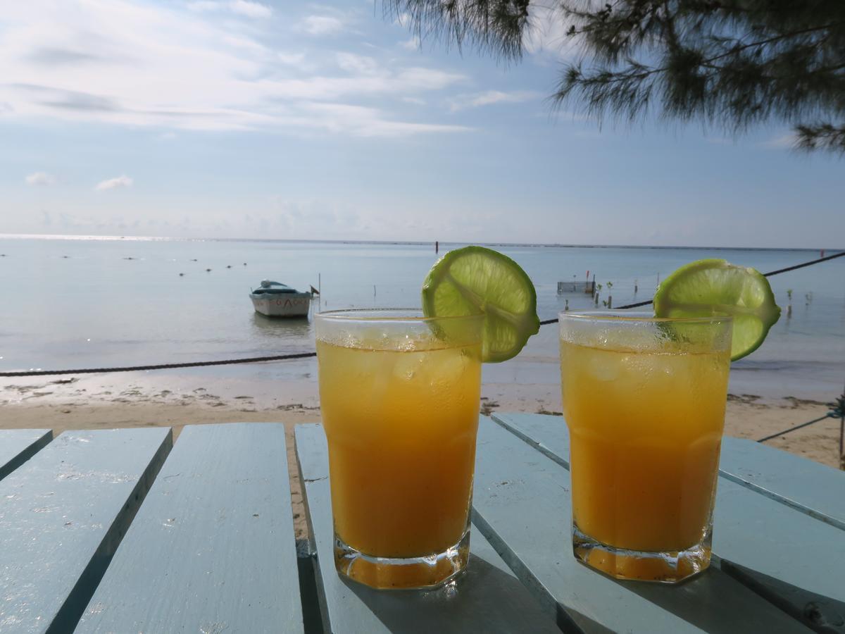 Eco Hotel Club Rolling Stone โบกา ชิกา ภายนอก รูปภาพ